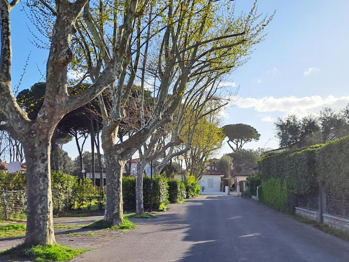 La Casina Di Marco Βίλα Pietrasanta Εξωτερικό φωτογραφία